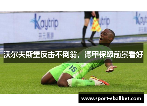 沃尔夫斯堡反击不倒翁，德甲保级前景看好